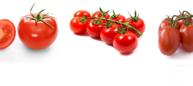Farm Fresh Tomatoes Farm Fresh Tomatoes