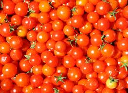 tomato cherry