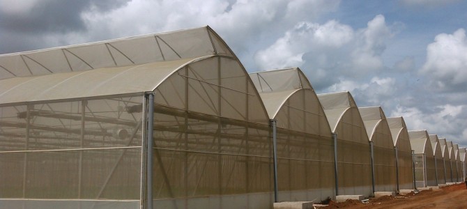 High Technology Greenhouse