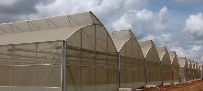 High Technology Greenhouse High Technology Greenhouse